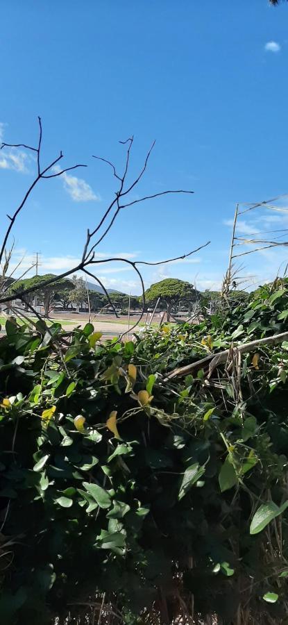 Les Iles D'Or Au Port De Hyeres Grand Studio Climatise Екстериор снимка