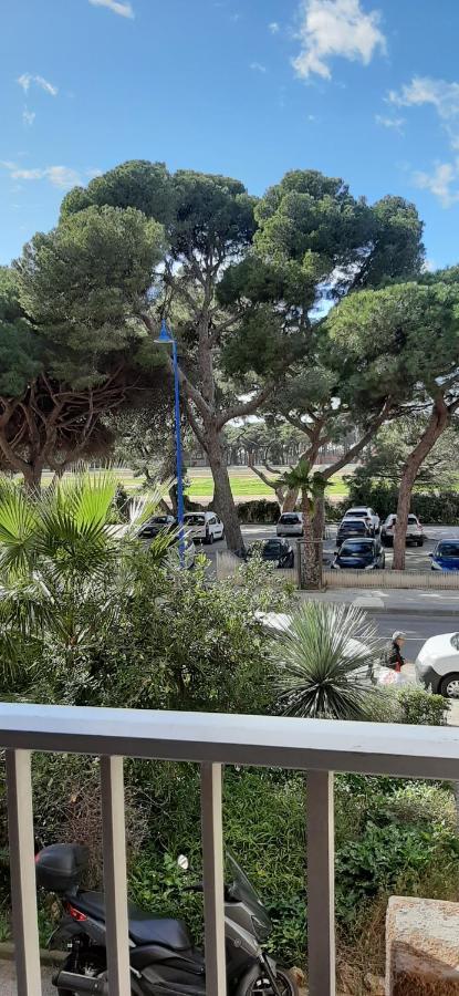 Les Iles D'Or Au Port De Hyeres Grand Studio Climatise Екстериор снимка