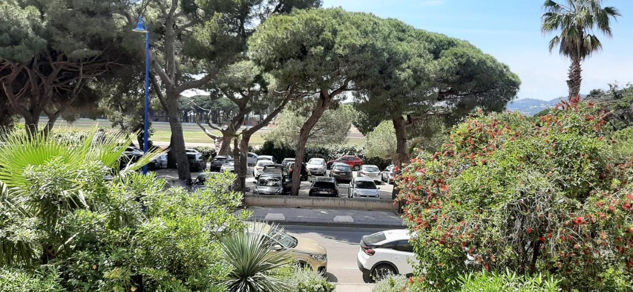 Les Iles D'Or Au Port De Hyeres Grand Studio Climatise Екстериор снимка
